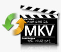 MKV Converter