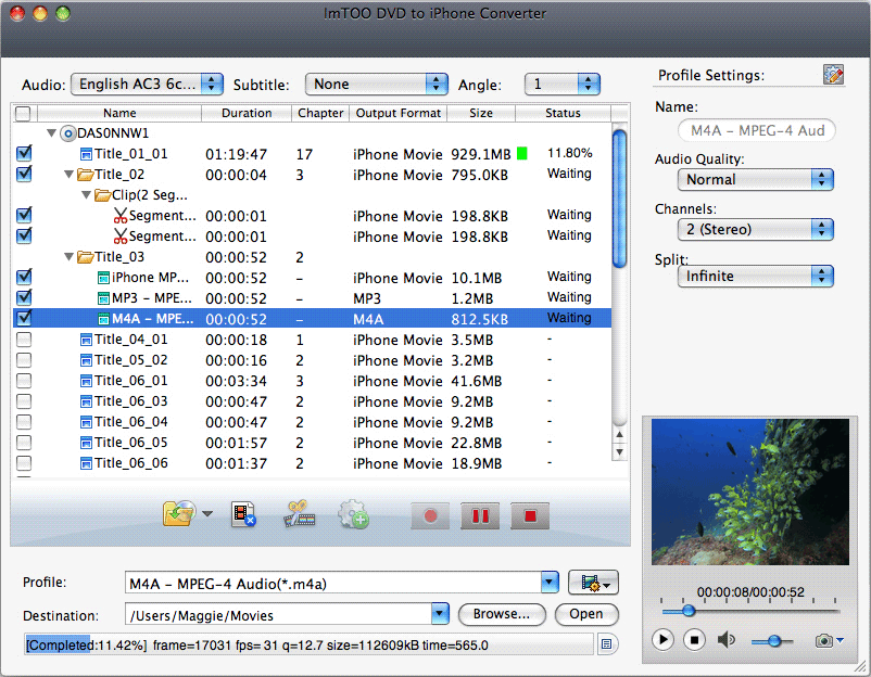 ImTOO DVD to iPhone Converter for Mac
