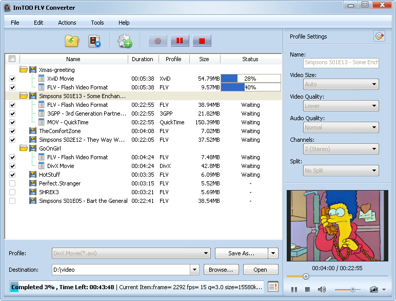 ImTOO FLV Converter - Advanced Mode